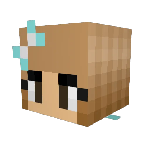 luv2dance609 Minecraft avatar head, 3D render