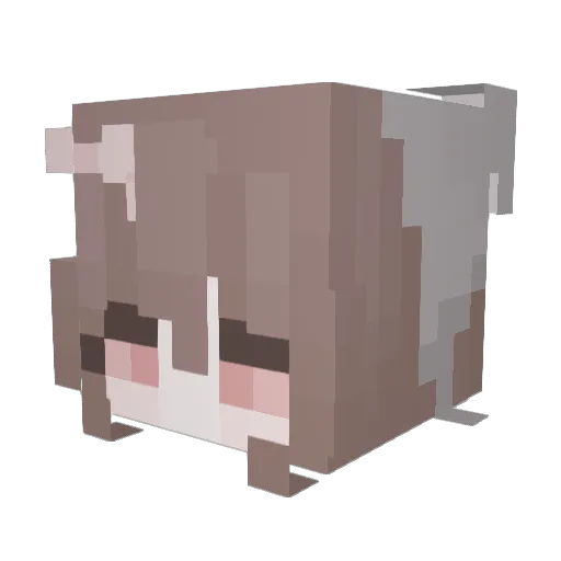 luv_bitter Minecraft avatar head, 3D render