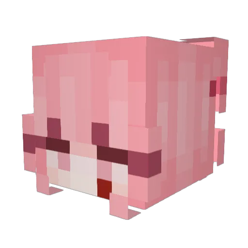 luverzaa Minecraft avatar head, 3D render