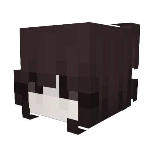luvmaniac Minecraft avatar head, 3D render