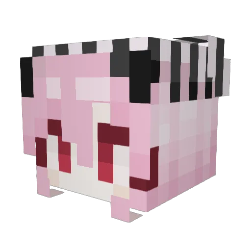 luvmaxi Minecraft avatar head, 3D render