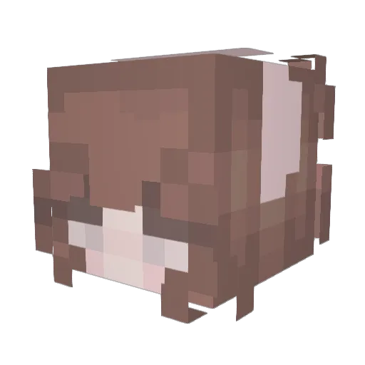 luvtrintrin Minecraft avatar head, 3D render