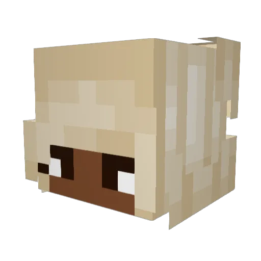 luvvbuggie Minecraft avatar head, 3D render