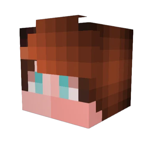 luxsaber Minecraft avatar head, 3D render