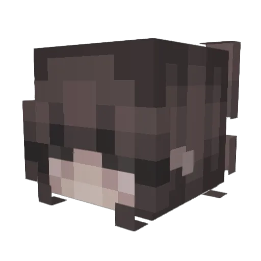 lv_Zynn_vl Minecraft avatar head, 3D render