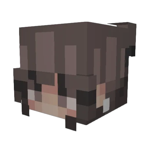 lvcifera Minecraft avatar head, 3D render