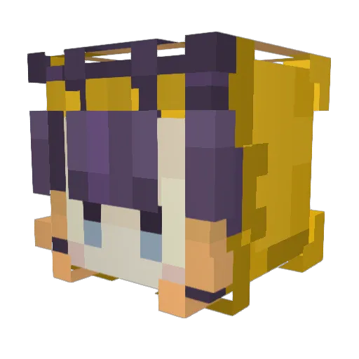 lvl9001metapod Minecraft avatar head, 3D render