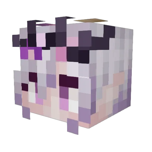 lvnarecl1pse Minecraft avatar head, 3D render