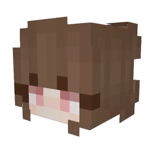 lvnis Minecraft avatar head, 3D render