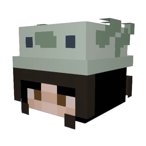 lvnxjk Minecraft avatar head, 3D render