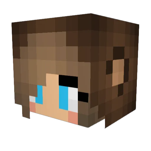 lw2f Minecraft avatar head, 3D render