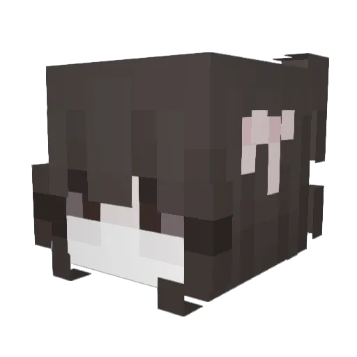 lwara Minecraft avatar head, 3D render