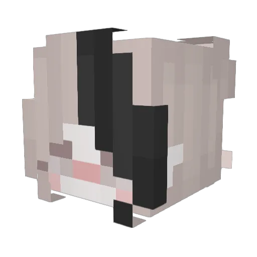 lwersq Minecraft avatar head, 3D render