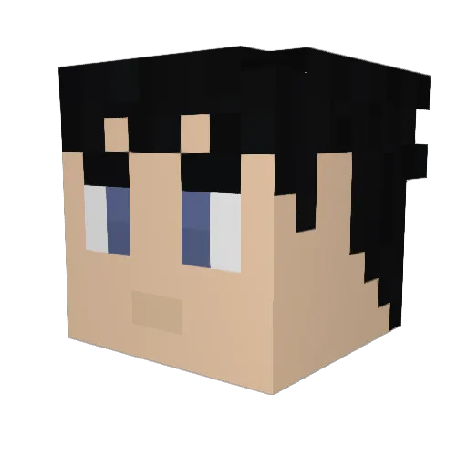 lwints Minecraft avatar head, 3D render