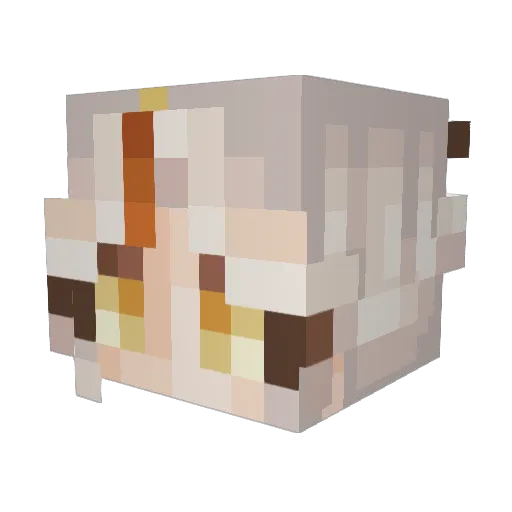 lwkaen Minecraft avatar head, 3D render