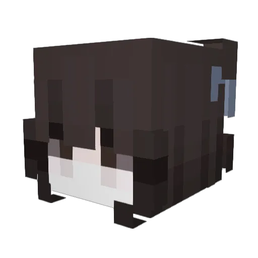 lwln Minecraft avatar head, 3D render