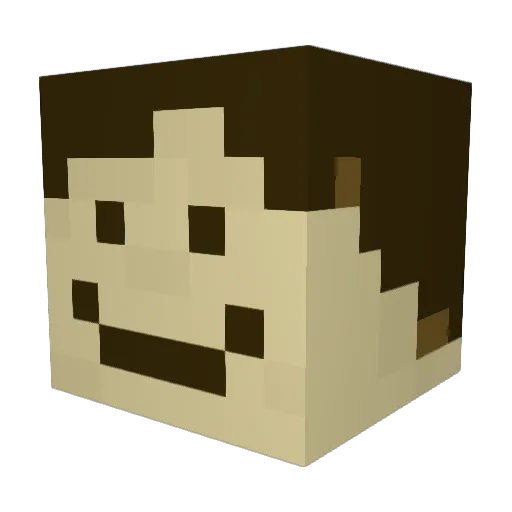 lwu314 Minecraft avatar head, 3D render