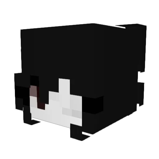 lwura Minecraft avatar head, 3D render