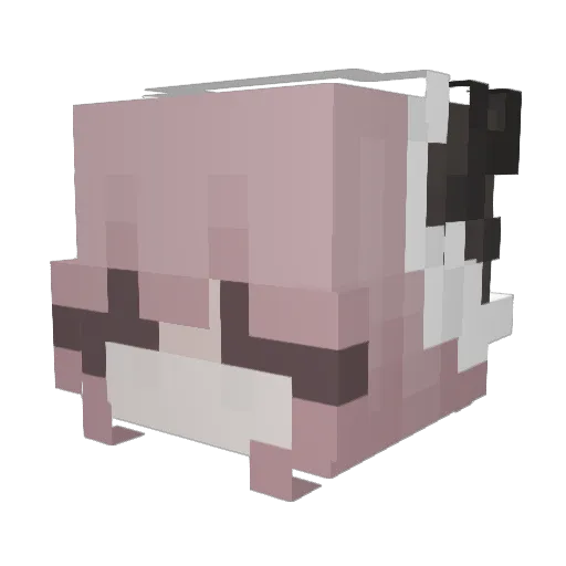 lwxis Minecraft avatar head, 3D render