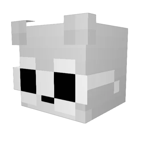 lwzinxd Minecraft avatar head, 3D render