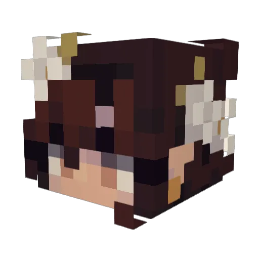 lx0nxe Minecraft avatar head, 3D render