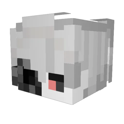 lxNotRyanxl Minecraft avatar head, 3D render
