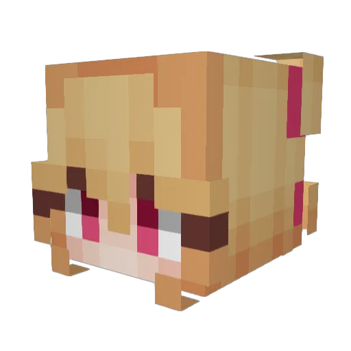 lxb Minecraft avatar head, 3D render