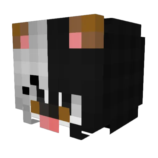 lxl___ Minecraft avatar head, 3D render