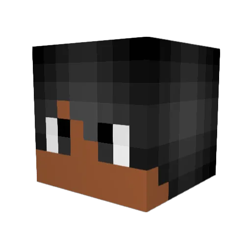 lxstVoid Minecraft avatar head, 3D render