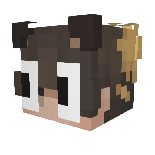 lxttuss Minecraft avatar head, 3D render