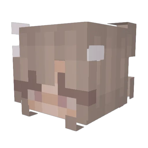 lxurren Minecraft avatar head, 3D render