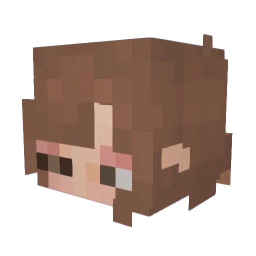 lychee88 Minecraft avatar head, 3D render