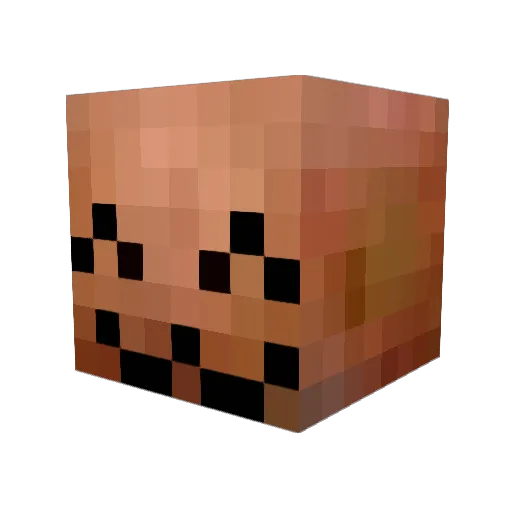 lydia311 Minecraft avatar head, 3D render