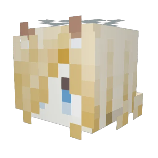 lyf114514 Minecraft avatar head, 3D render