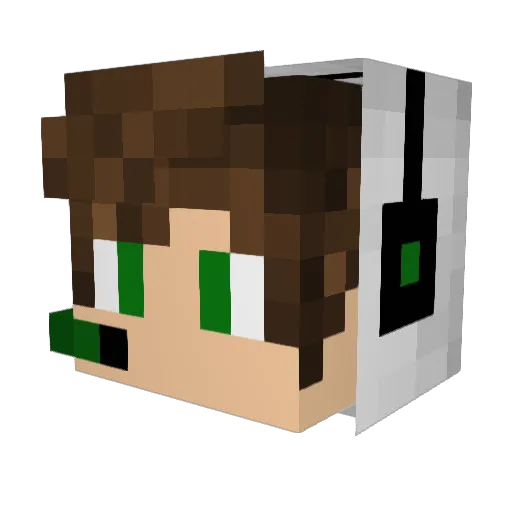 lyff44 Minecraft avatar head, 3D render