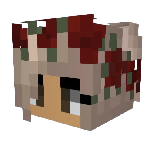 lylaa12 Minecraft avatar head, 3D render
