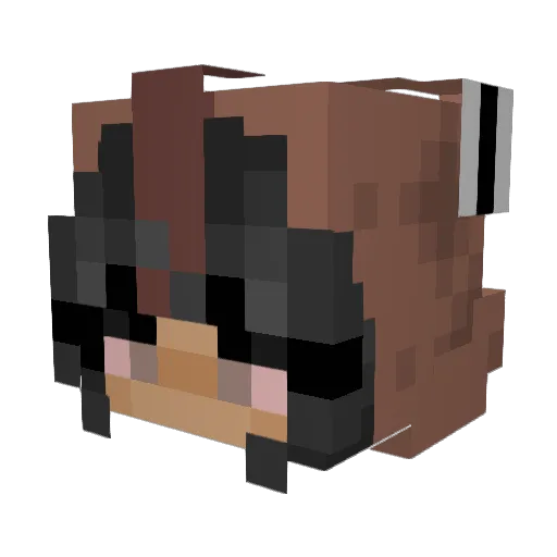 lylaa16 Minecraft avatar head, 3D render
