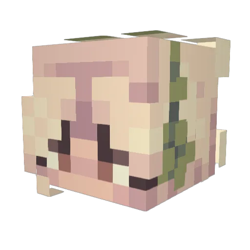 lylabean512 Minecraft avatar head, 3D render