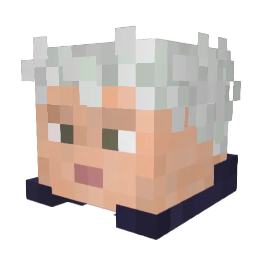 lyme_lemon Minecraft avatar head, 3D render