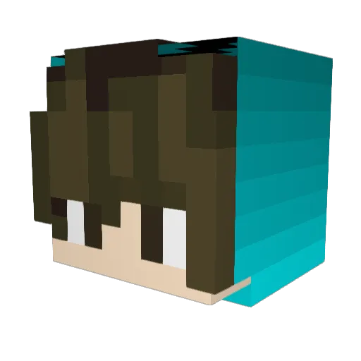 lynchRakun Minecraft avatar head, 3D render
