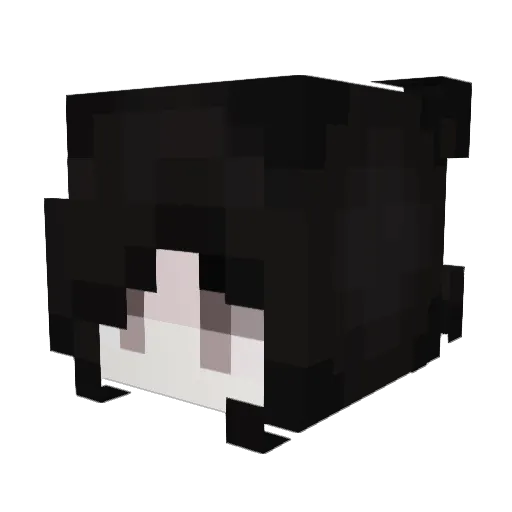 lynelslayr Minecraft avatar head, 3D render