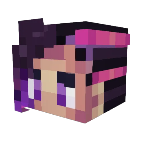 lynn123_456 Minecraft avatar head, 3D render