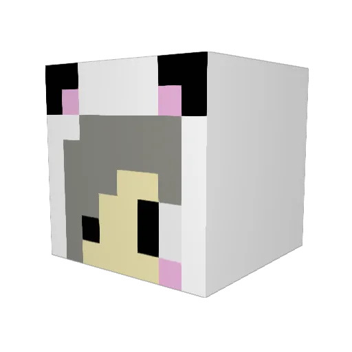 lynnie21 Minecraft avatar head, 3D render