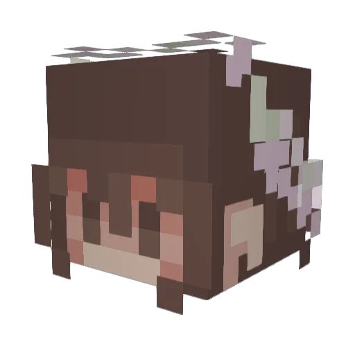 lynnthemushroom Minecraft avatar head, 3D render