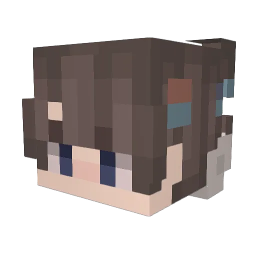 lyr1215 Minecraft avatar head, 3D render