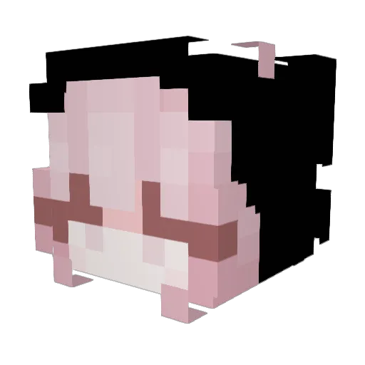 lyrais Minecraft avatar head, 3D render