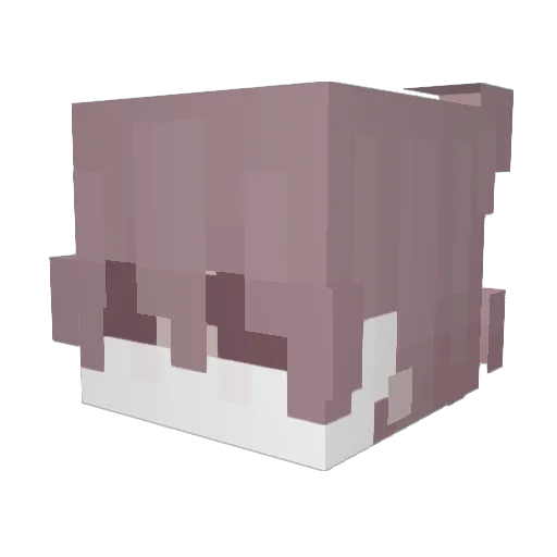 lysm_ Minecraft avatar head, 3D render