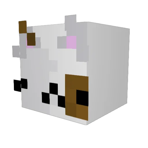 lyssnicole Minecraft avatar head, 3D render