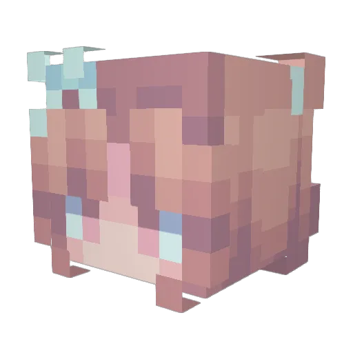 lyunabi Minecraft avatar head, 3D render