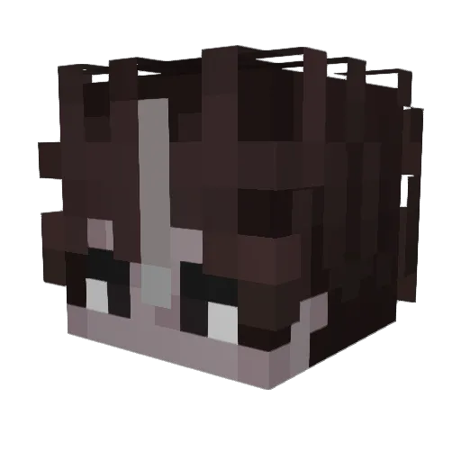 lzcs Minecraft avatar head, 3D render